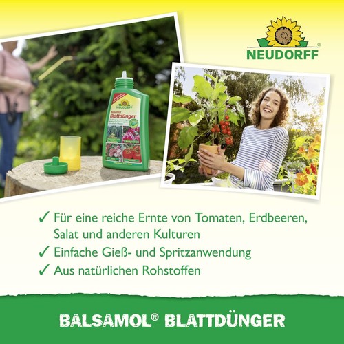 Neudorff Balsamol Blattdünger 250 ml Dünger Blätter Hecken Koniferen Immergrüne - Afbeelding 4 van 6