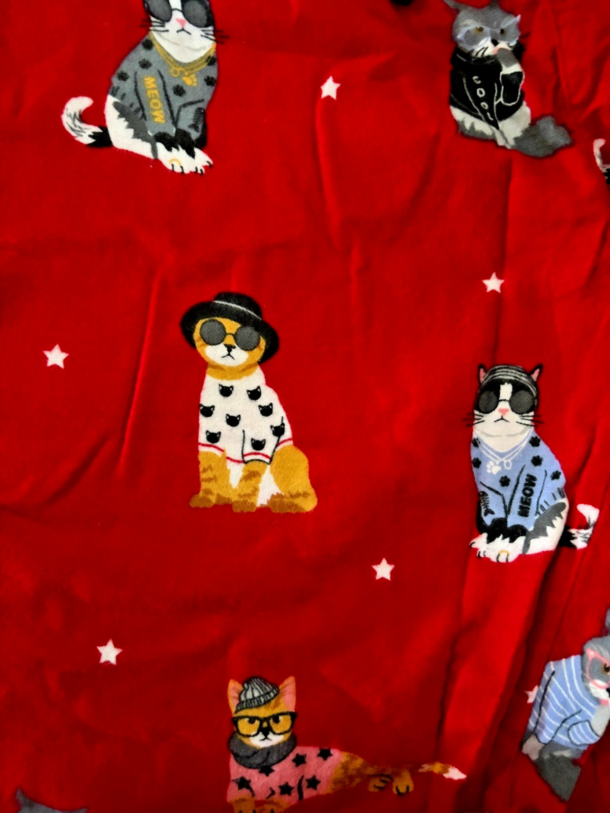 NWT PJ Salvage Women's Fluff You Cotton Flannel PJ Set in Red XS