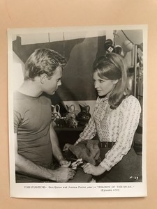 "THE FUGITIVE" STARRING DAVID JANSSEN, TV SERIES PR PHOTO, "SHADOW OF THE SWAN".