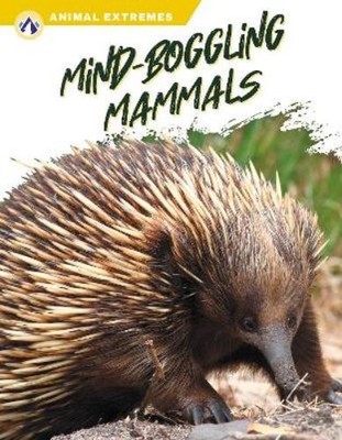 Libby Wilson Libby Wilson Mind-Boggling Mammals (Gebundene Ausgabe)