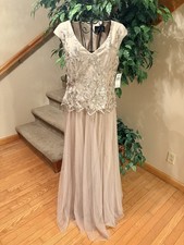 Alex Evenings Embroidered Cap-Sleeve Tulle Gown Size 6 Taupe Retail 199