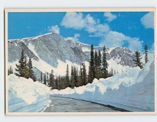 Postcard Highway 130 Over the Snowy Range Medicine Bow National Forest Wyoming