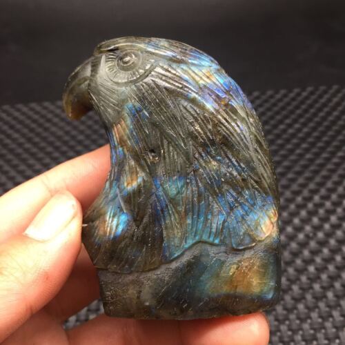 Natural Rainbow Labradorite Crystal Quartz Carved Eagle Head Healing Decor Reiki - Picture 10 of 21