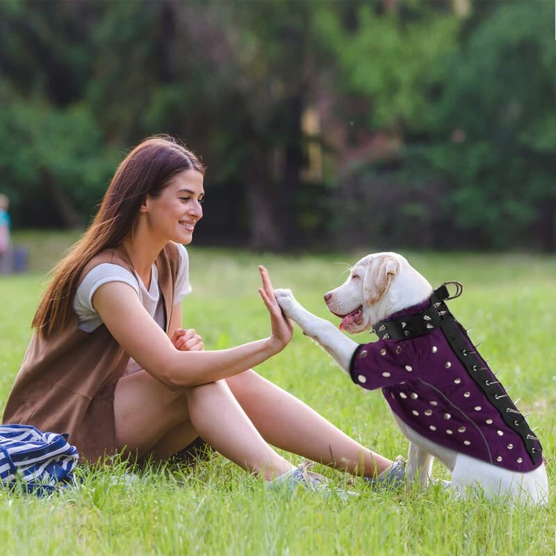 Coyote Proof Dog Vest Harness, Anti Hawk Vest Hawk Deterrent with L