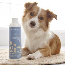 Award Winning Norwex Pet Odour and Stain Remover Concentrate
