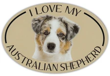 Oval Dog Breed Picture Car Magnet - I Love My Australian Shepherd (Aussie)