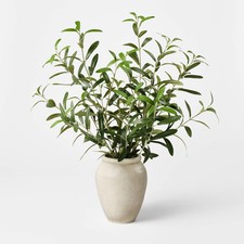 Large Olive Leaf Arrangement - Threshold designed with Studio McGee