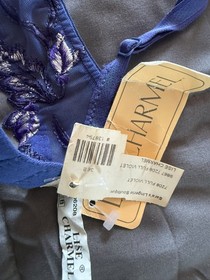 Lise Charmel Violet Ivory and Blue bra 36B  NWT