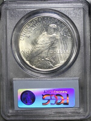 1923-P Peace Silver Dollar | PCGS MS 64 | Collectors Gem | Last