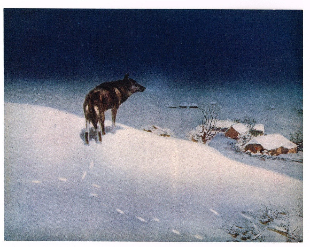 ORIGINAL VINTAGE PRINT C1930 KOWALSKI LONE WOLF 9X7