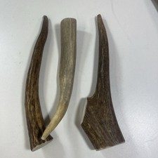 3-Pack Deer Antler Dog Chews  Natural Fresh A Grade  Small Med 5"-7" Free Ship