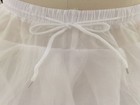 Foto 10 di 11
