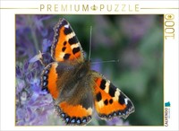 Calvendo Puzzle Small Tortoiseshell (Aglais Urticae) | 1000 Pieces, Finished Siz