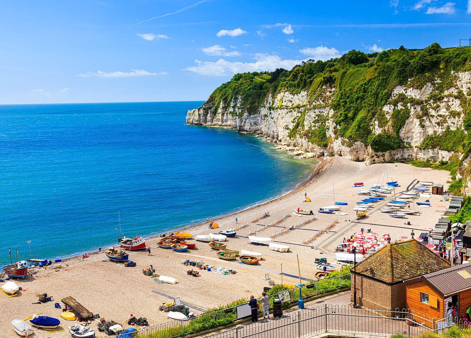 Jigsaw Puzzles for Adults 1000 Pieces Interlock Perfectly Letter on Back No D...