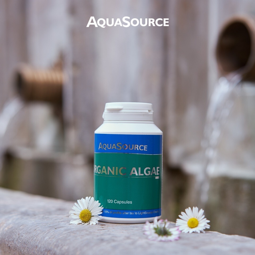 AquaSource Algen 120 Kapseln Organic Algae Seetang
