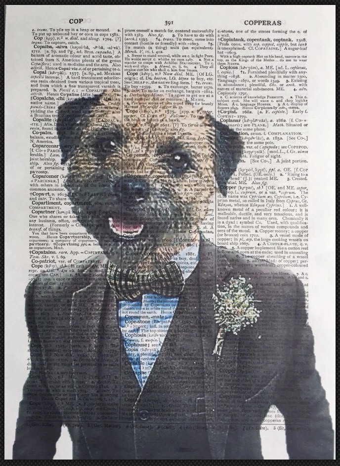 Border Terrier Print Vintage Dictionary Page Wall Art Picture