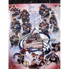 Colorado Avalanche 2001 Stanley Cup Champions Limited Edition 215 Plaque