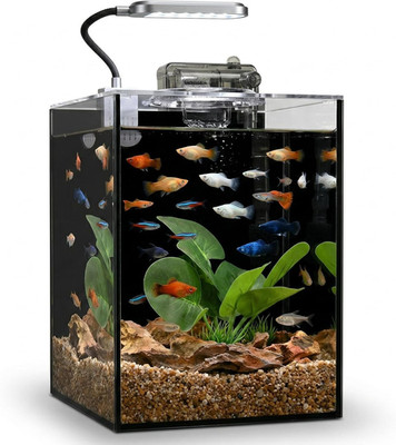 2.2 Gallon Betta Fish Tank with Lid, Light & Filter - Small Glass Aquarium
