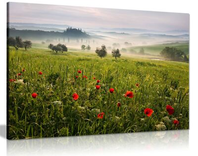 Gerahmter Leinwanddruck grüne Hügel auf einer nebligen Morgenlandschaft Wandbild Wohndeko