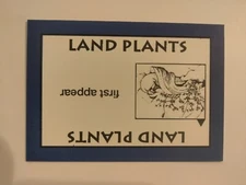 PERSPECTIVE Time Line Game 1992 card used LAND PLANTS World History free ship