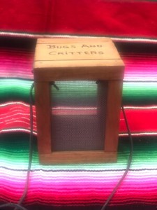 Bug Critter Keeper Wooden Stained