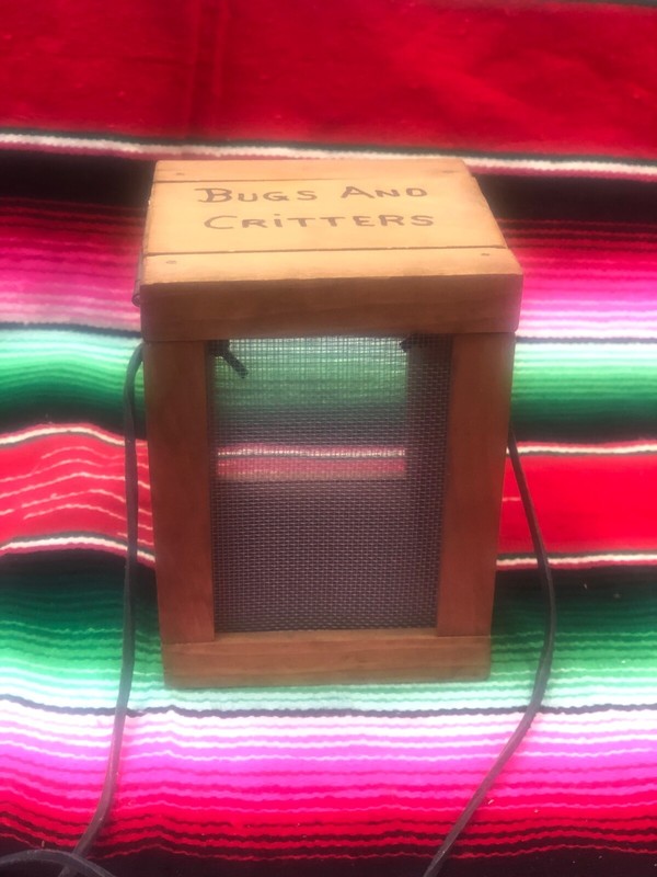 Bug Critter Keeper Wooden Stained