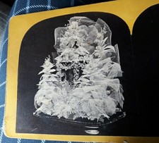 photo of Skeleton leaves stereoptic by E. Anthony  5747 yellow card