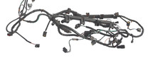 99-02 Jaguar Xk8 Xj8 4.0l V8 Aj27 Engine Wiring Harness W Injection Plugs