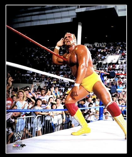 WWE HULK HOGAN OFFICIAL LICENSED 8X10 WRESTLING PHOTO ORIGINAL PHOTO FILE 2 - 第 1/1 張圖片