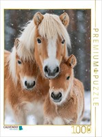 Calvendo Puzzle A Haflinger Bears The Winter With Dignity | 1000 Pieces, Finishe