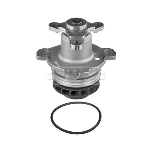 For RENAULT KOLEOS II HC 2016 on Water pump BWP2178