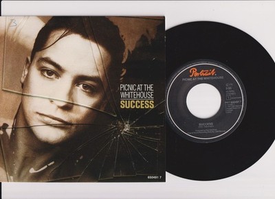 Picnic At The Whitehouse   Success - 7'' Single 1987  Portrait   PRT 650491 7