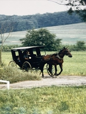 Pastoral Scene Of Horse & Buggy In Berlin, Ohio Signed Photo By Dougherty