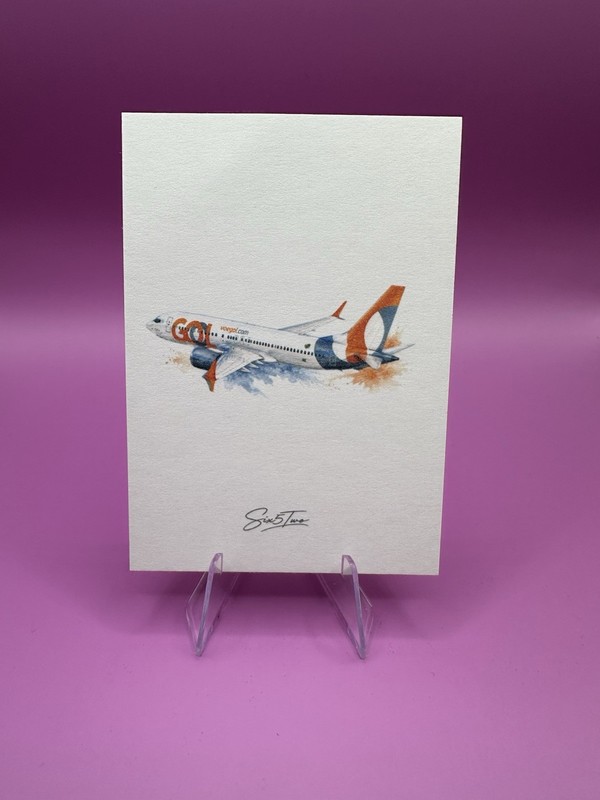 Gol Airlines Trading Card Custom Print Pilot / Airplane 1 of 30!