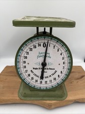 Antique American Family 25 LB Green Rustic Farmhouse Metal Family Kitchen Scale