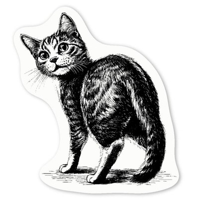 Aufkleber Sticker ''Süße Katze blickt zurück'' (DW049301)