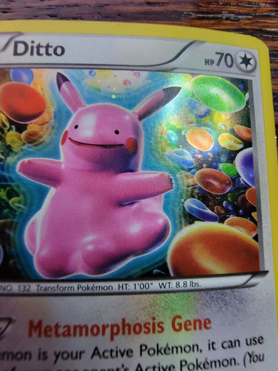 Ditto (XY40) [XY: Black Star Promos]