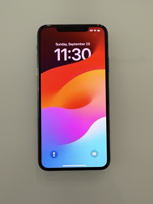Apple iPhone 11 Pro Max   64GB   Black ￼(Unlocked)