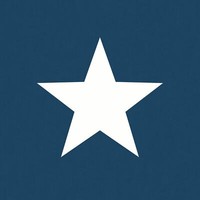 Star Tapete Texturiert Kinder Kinderzimmer Schlafzimmer World Of Wallpaper Navy