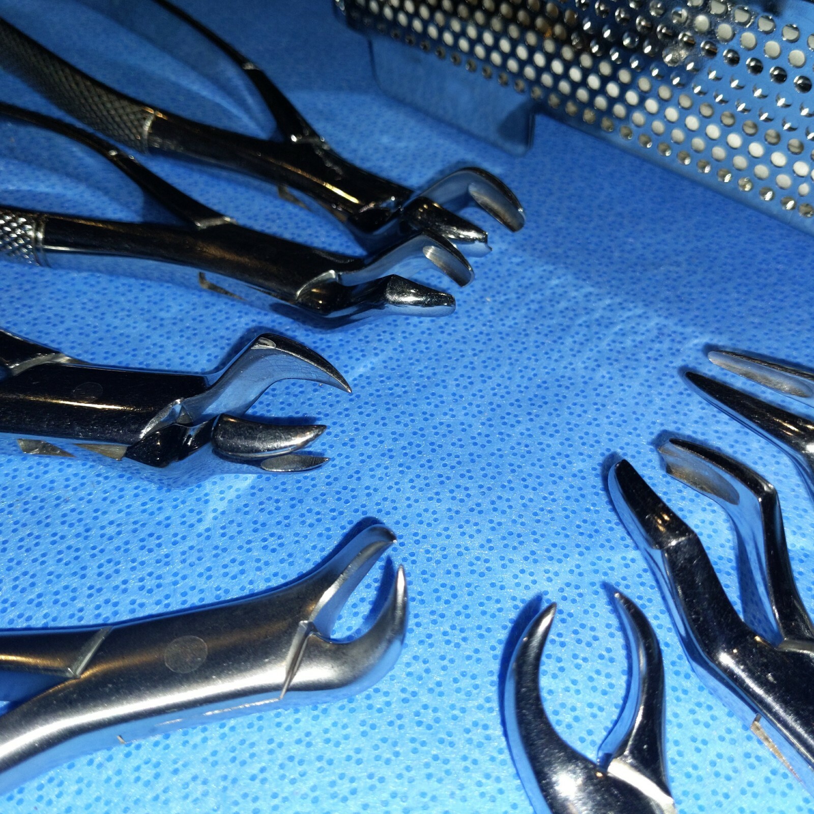 SET OF 7 EXTRACTION FORCEPS ORTHOPEDIC eBay