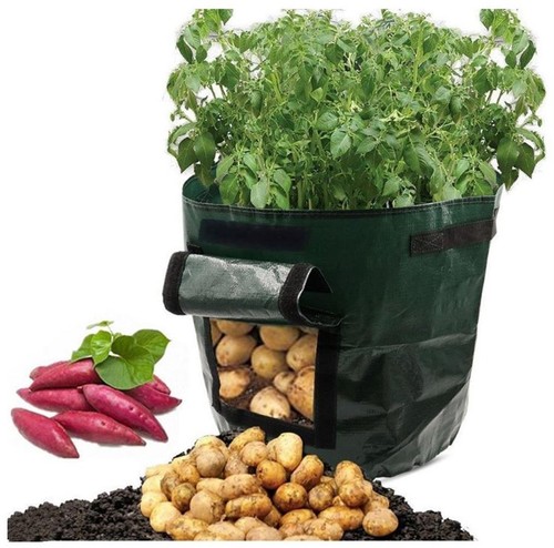 2 x Potato Grow Bag 10 Gallon (1 Twin Pack) Planter 45cmH x 35cmD Green Tomato - Picture 2 of 9