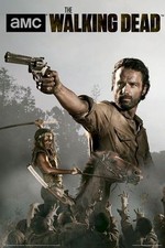 2013 AMC FILMS THE WALKING DEAD RICK AND MICHONNE POSTER NEW 24x36 FREE SHIP