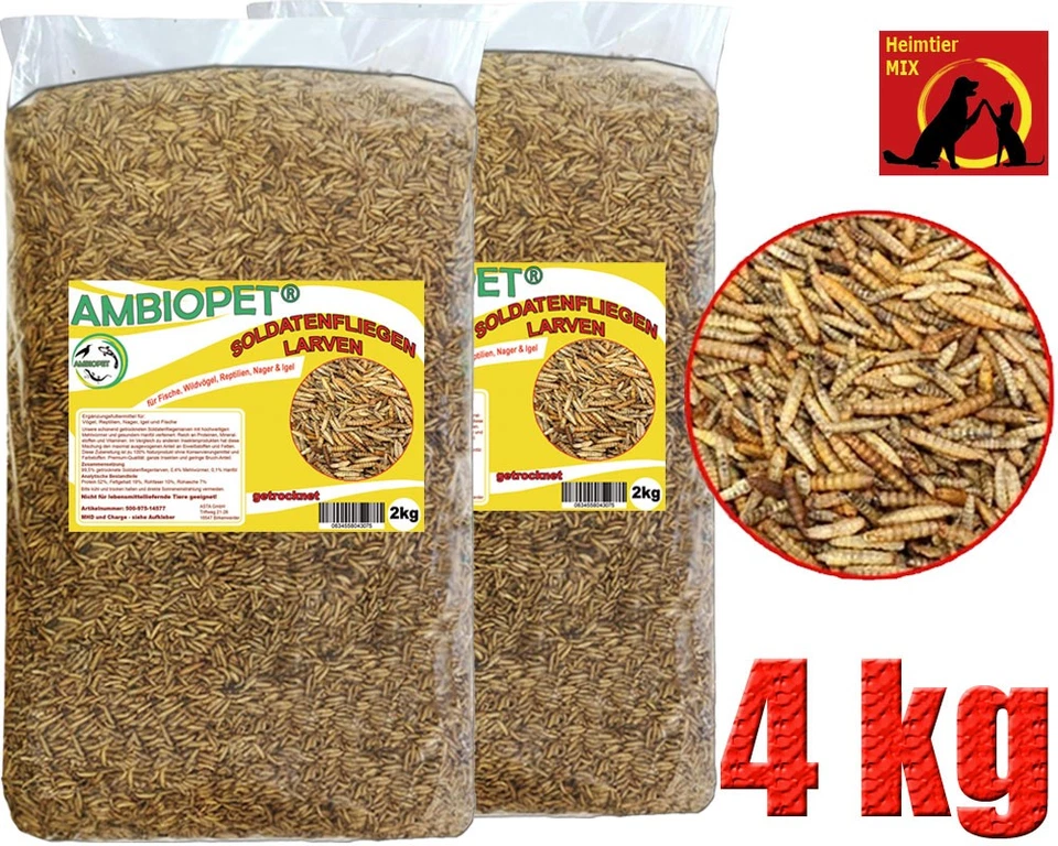 AMBIOPET Hermetia Larven Soldatenfliegenlarven 4kg wie Mehlwürmer für Koi Vögel Reptilien