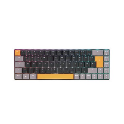Cherry MX-LP2.1 Gaming Tastatur RGB Kompakt Funktastatur, schwarz