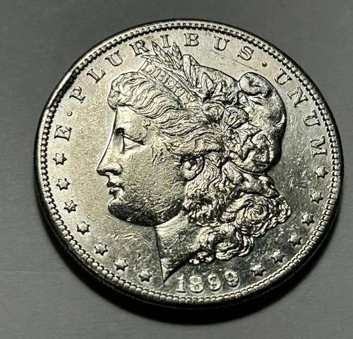 1899 S MORGAN DOLLAR AU DETAILS