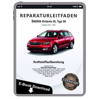 Skoda Octavia 2012-2020 Kraftstoffversorgung Diesel Reparaturhandbuch Download