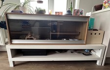 Vivarium - previously housed a Bearded Dragon - plus table!