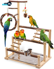 Bird Playground  Natural Wooden Parrot Stand Suitable for Small to Medium