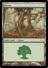 [1x] Forest - Arena 2005 Slight Play, English Arena Promos MTG Magic