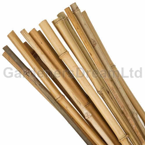 250 X 3FT HEAVY DUTY BAMBOO GARDEN CANES STRONG THICK QUALITY PLANT SUPPORT - Picture 1 of 4